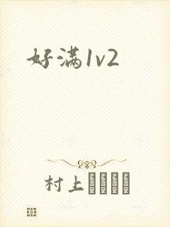 好满1v2