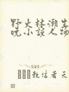 野火林潮生林晚晚小说人物野火