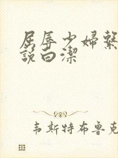 屈辱少妇系列小说白洁封面