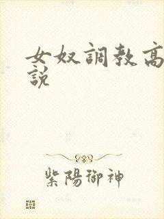 女奴调教高h小说封面