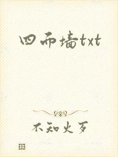 四面墙txt封面