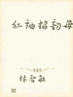 红袖招韵母攻略