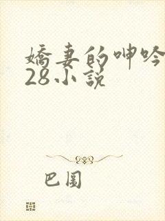 娇妻的呻吟1—28小说封面