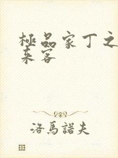 极品家丁之远方来客