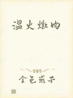 温火炖肉