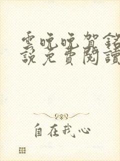 云晚晚贺铭云小说免费阅读