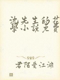 沈先生的花式教学小说免费封面