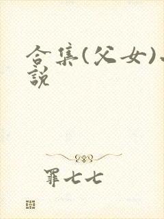 合集(父女)小说封面