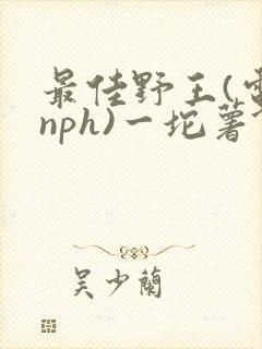 最佳野王(电竞nph)一坨薯饼