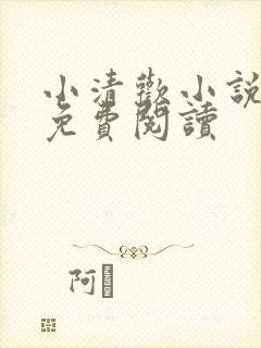 小清欢小说全文免费阅读