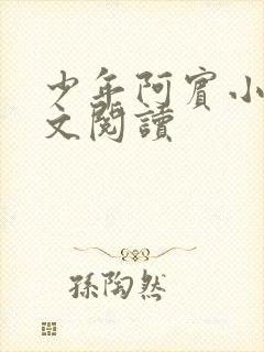 少年阿宾小说全文阅读封面