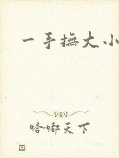 一手抚大小说封面