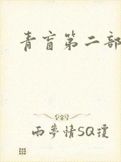 青盲第二部封面