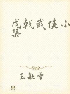 戊戟武侠小说全集封面