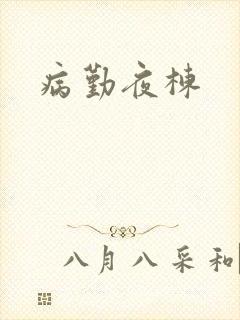 病勤夜栋封面