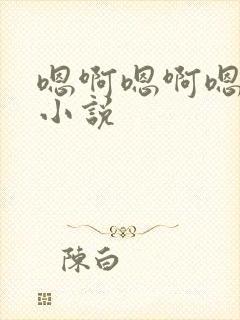 嗯啊嗯啊嗯啊的小说