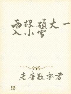 两根硕大一起挤入小雪