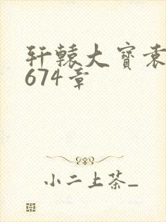 轩辕大宝袁雪妃674章