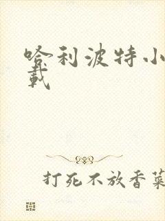 哈利波特小说下载