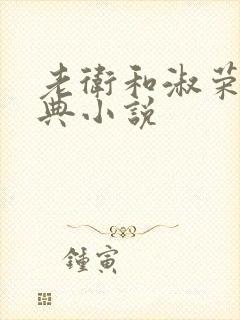 老卫和淑荣的经典小说