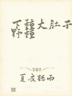下种大肚子怀孕野种