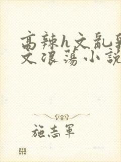 高辣h文乱乳h文浪荡小说苏柔封面