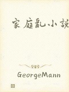 家庭乱小说封面