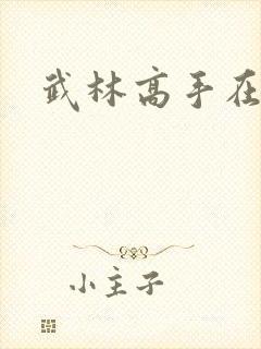 武林高手在异界