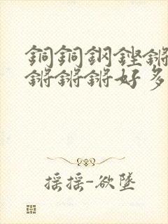 铜铜钢铿锵锵锵锵锵锵好多少阅读封面