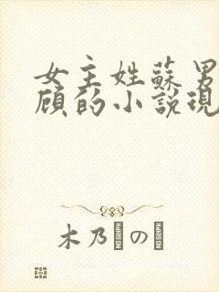 女主姓苏男主姓顾的小说现代言情