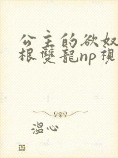 公主的欲奴h四根双龙np视频