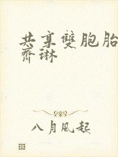 共享双胞胎齐娜齐琳封面