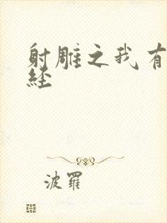 射雕之我有太玄经封面