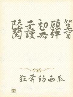 陆子初顾笙免费阅读无弹窗笔趣阁封面