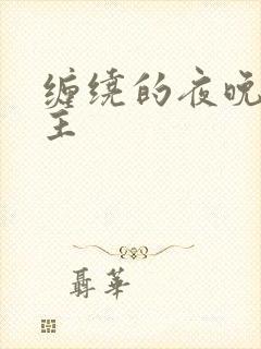 缠绕的夜晚双男主封面