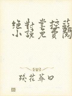 绝对掌控苏绵绵小说免费阅读全文封面