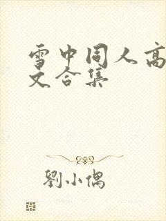 雪中同人高辣h文合集