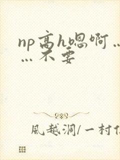 np高h嗯啊……不要