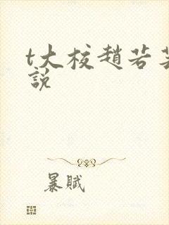 t大校赵若芸小说封面