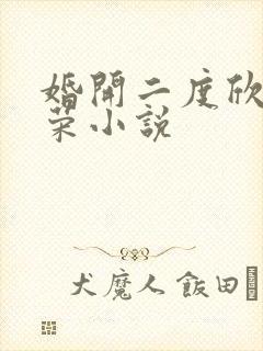 婚开二度欣欣向荣小说