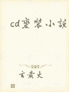 cd变装小说