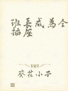 班长成为全班的插座封面