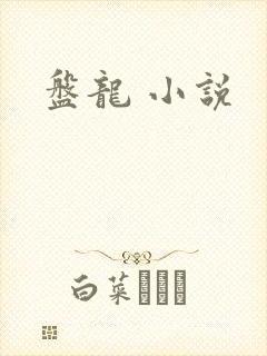 盘龙 小说
