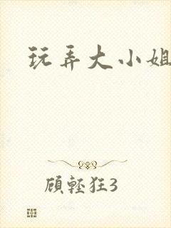 玩弄大小姐小说