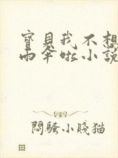 宝贝我不想带小雨伞啦小说