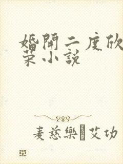 婚开二度欣欣向荣小说