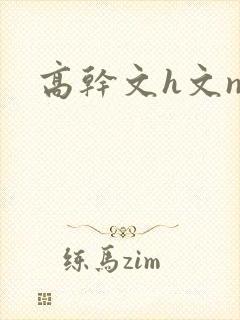 高干文h文np
