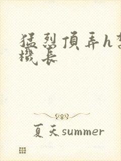 猛烈顶弄h禁欲机长封面