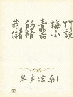 我的青梅竹马是储精器小说