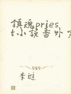 镇魂priest小说番外完整版封面